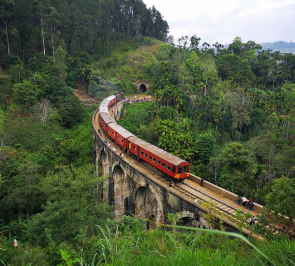 Rail Tours 